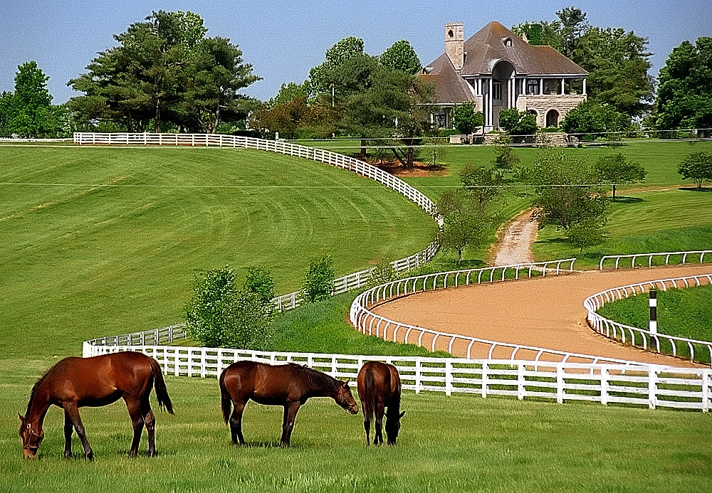 Lexington Kentucky - Donamire Farm