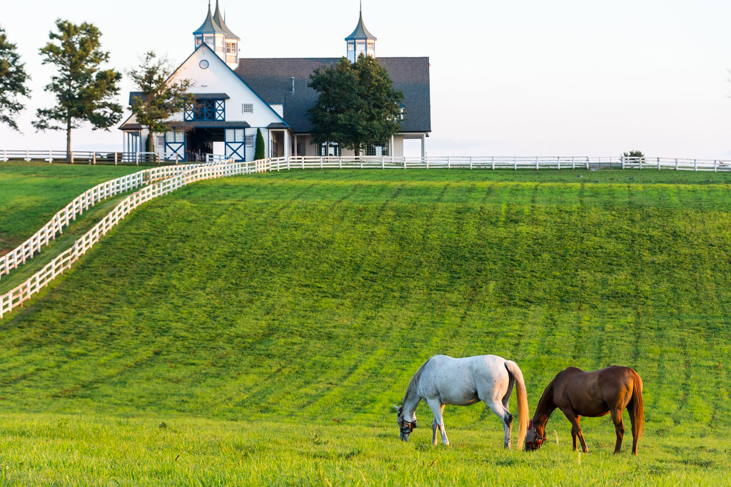 Lexington, Kentucky horse farm