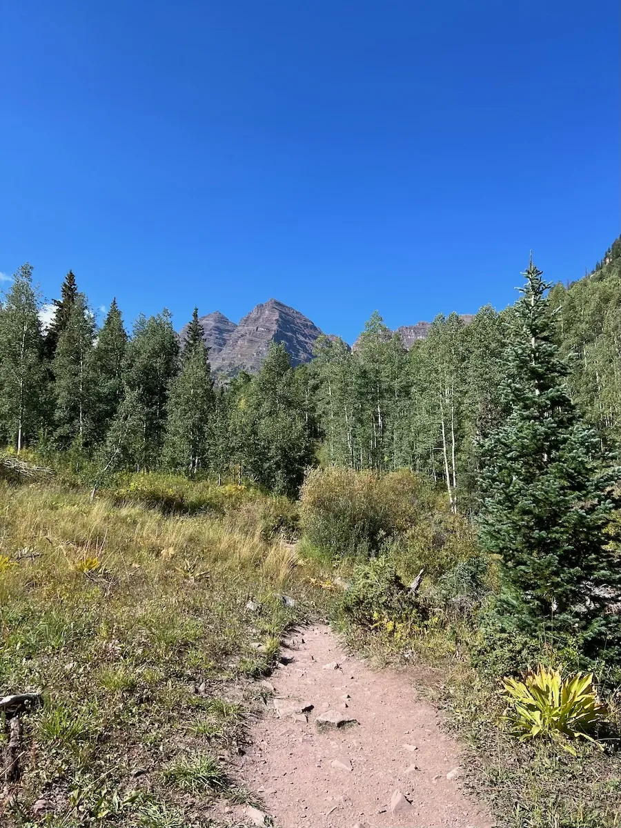 A serene hiking trail in Aspen with lush greenery, flanked by tall trees under a clear blue sky.