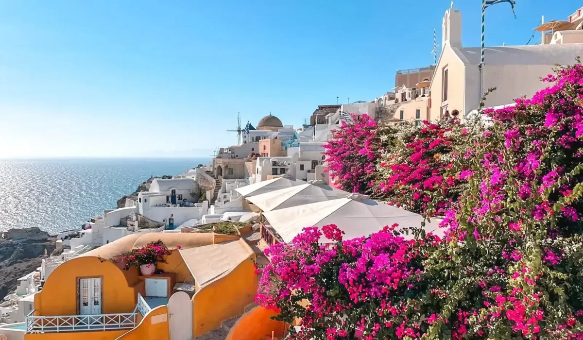 santorini oia view with colorful flowers and orange houses