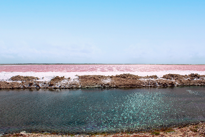 Pink salt lakes of Bonaire